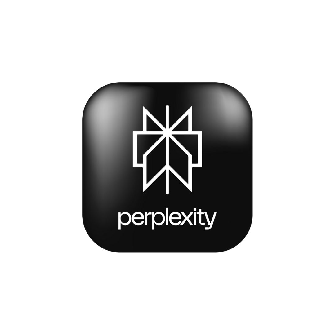 Perplexity